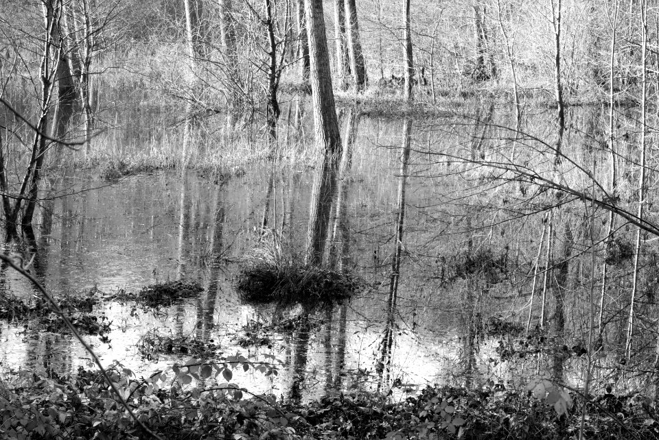 Wet Zone. Best viewed large.