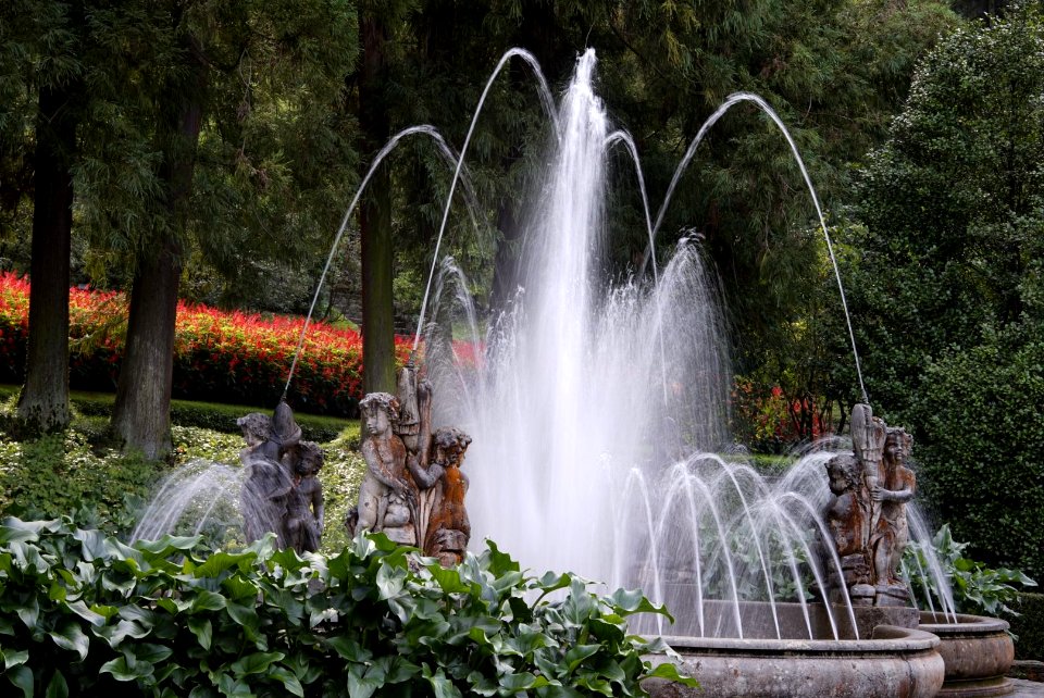Verbania-Villa Taranto garden