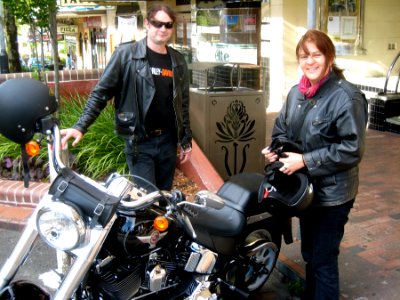 Ride the Hog