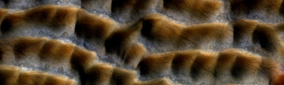 Mars - Eroding Dunes and Dust Devil Tracks in Terra Cimmeria photo