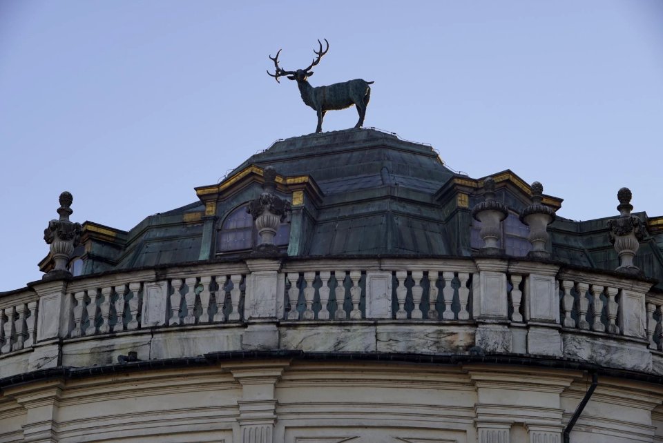 Savoy Royal Residence of Stupinigi. Details.