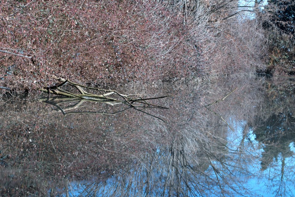 Racconigi LIPU oasis