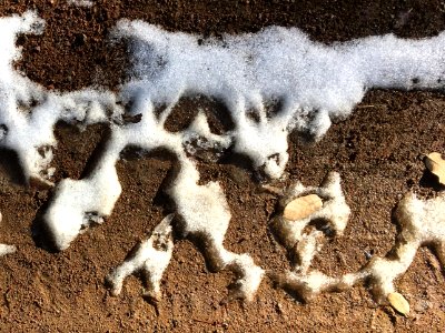 Remains of the Tracks
