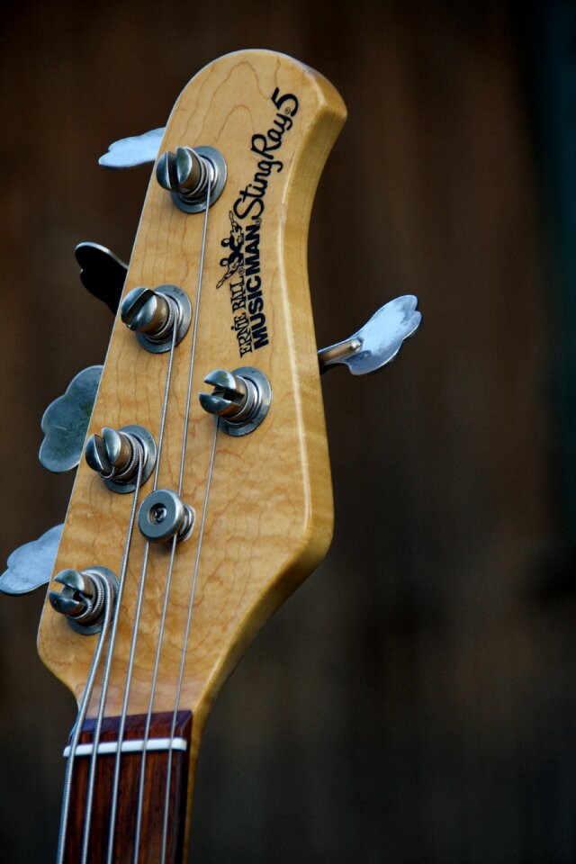 Instrument music strings
