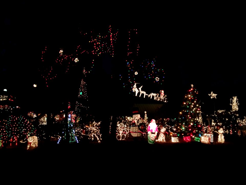 The Lights