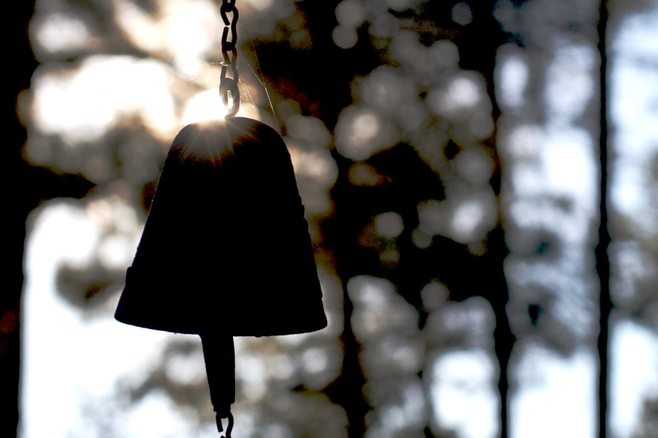 2017/365/300 What The Bell?