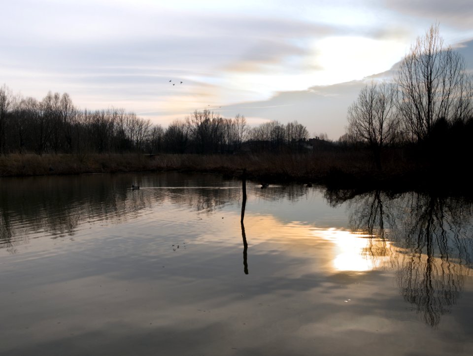 Wetland. LIPU oasis in Racconigi.