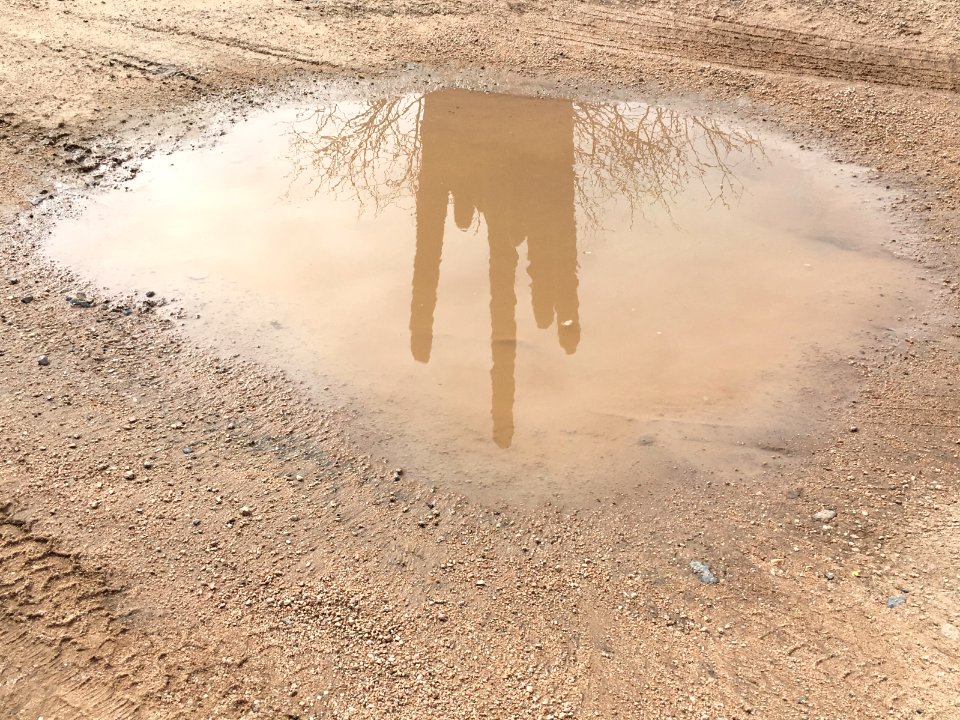 Water in the Desert, Desert in the Water