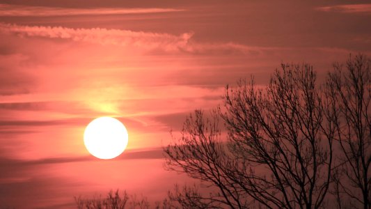I Never saw such a splendid sunset !