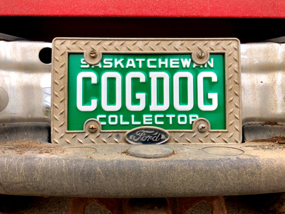2019/365/277 Red Dog Newly Plated