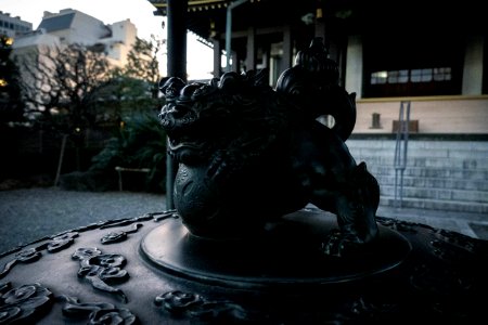 Zenko-ji, Omotesando, Tokyo, 20th Jan