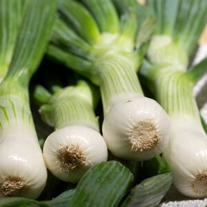 Green food healthy