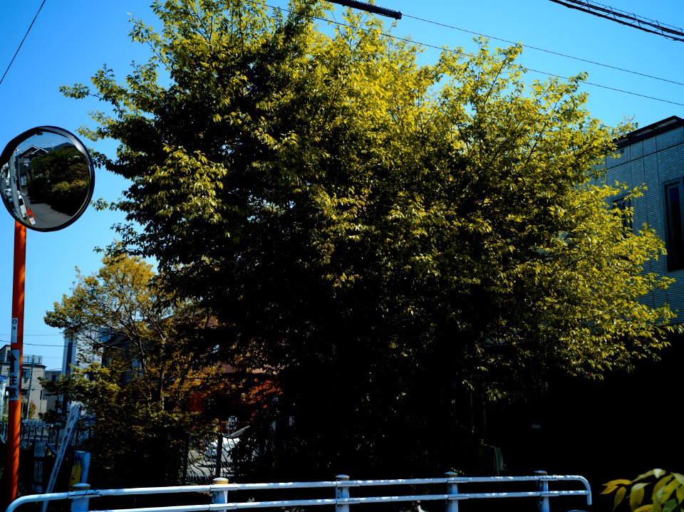 Mizonokuchi, 10th Apr