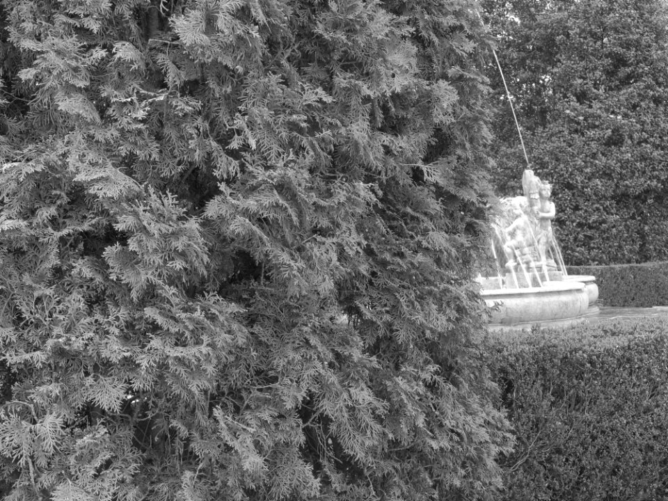 Verbania. Villa Taranto.
