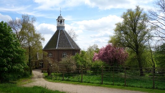 Landscape green spring
