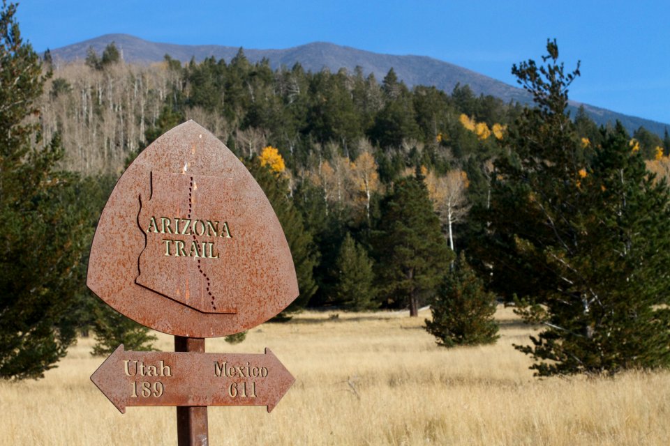 AZ Trail near Flagstaff