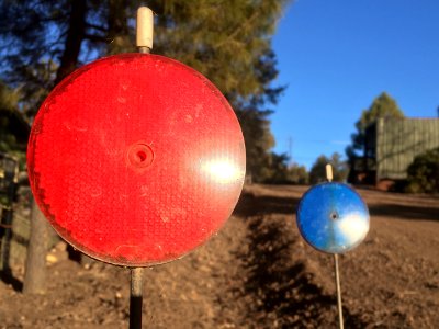 You Must Choose Neo, the Red Reflector or the Blue One photo