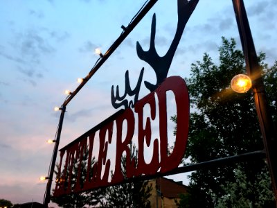 The Little Red Cofe