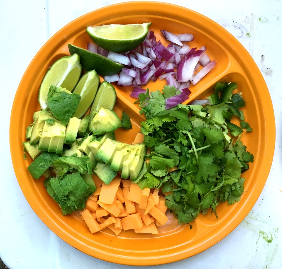 Fixings for Tonight's Camping Fish Tacos