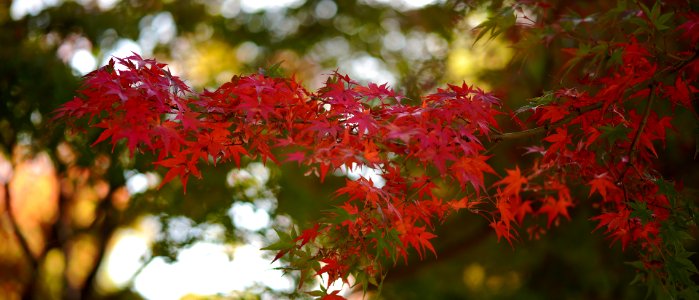 Mizonokuchi, 22nd Nov