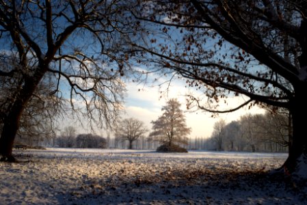 Stupinigi park. Best viewed large.