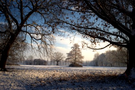 Stupinigi park. Best viewed large. photo