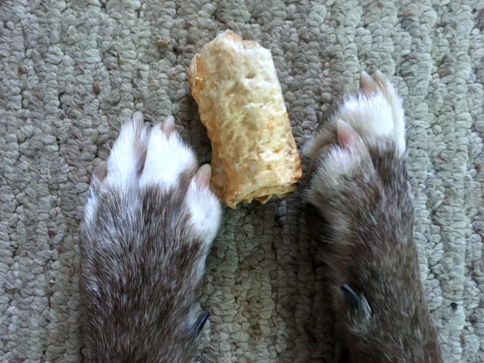 Working Without Thumbs