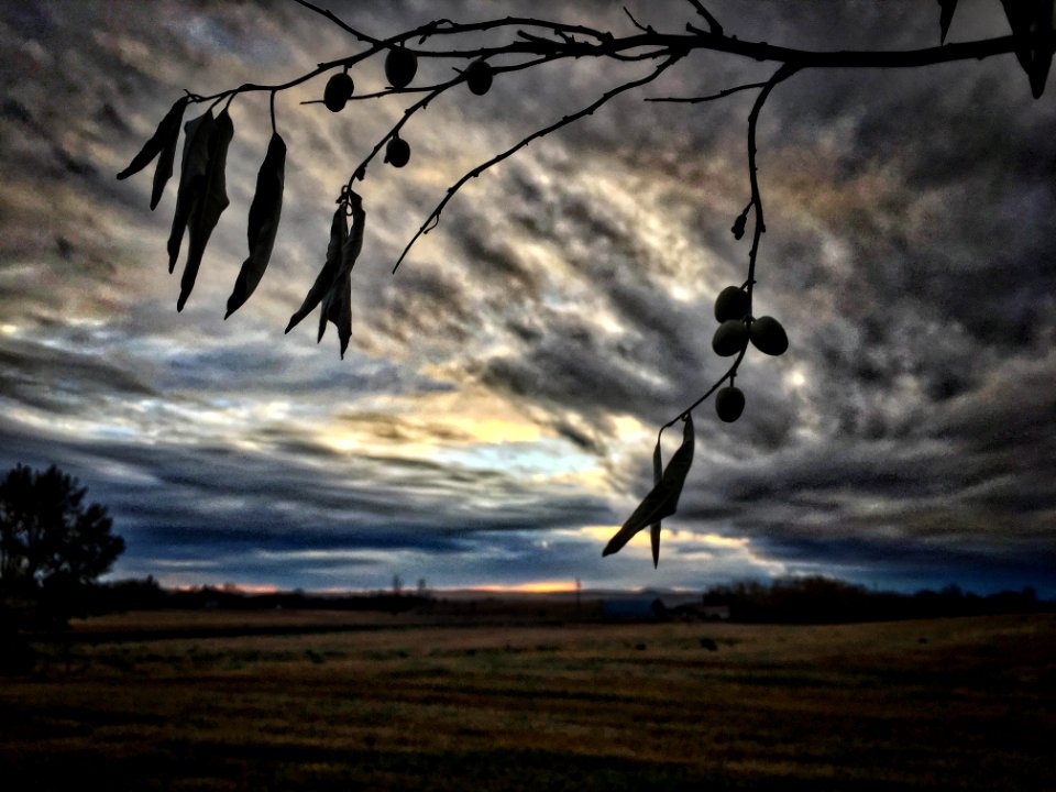 A Sky Full of Feeling