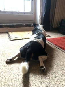 Stretching to the Door