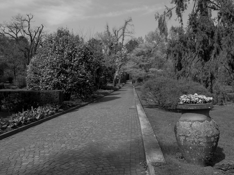 Verbania. Villa Taranto. photo