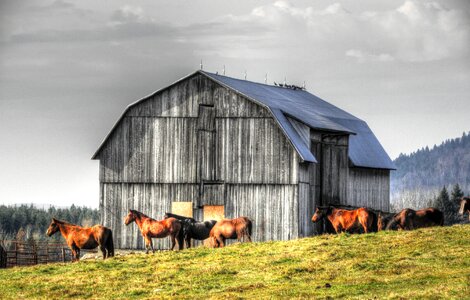 Grange farm hay