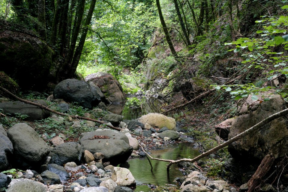 Little stream. Best viewed large.