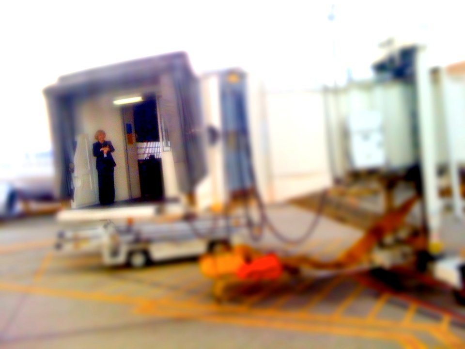 2010/365/130 B-B-Bye