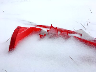 2019/365/32 Woah, Canada
