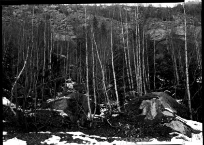 Mountain scene. From 13x18 cm. plan film. photo