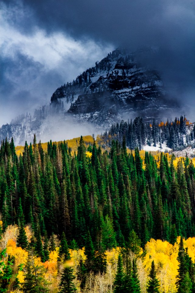 Landscape-19