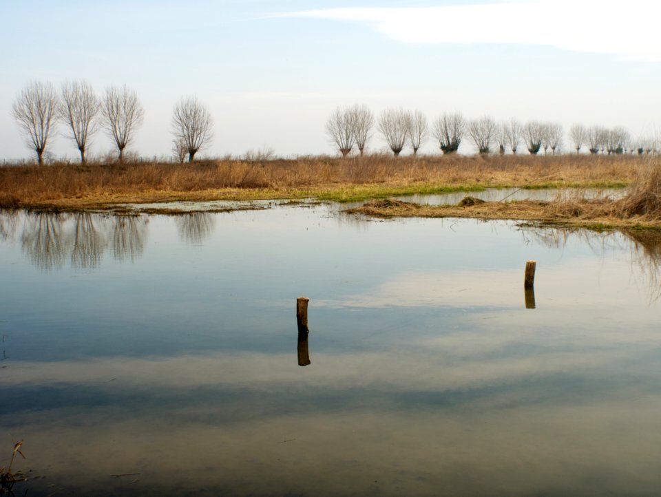 Wetland. LIPU oasis in Racconigi.