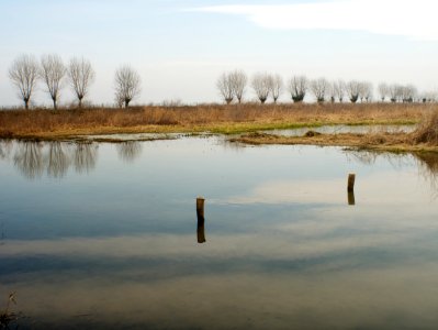 Wetland. LIPU oasis in Racconigi. photo