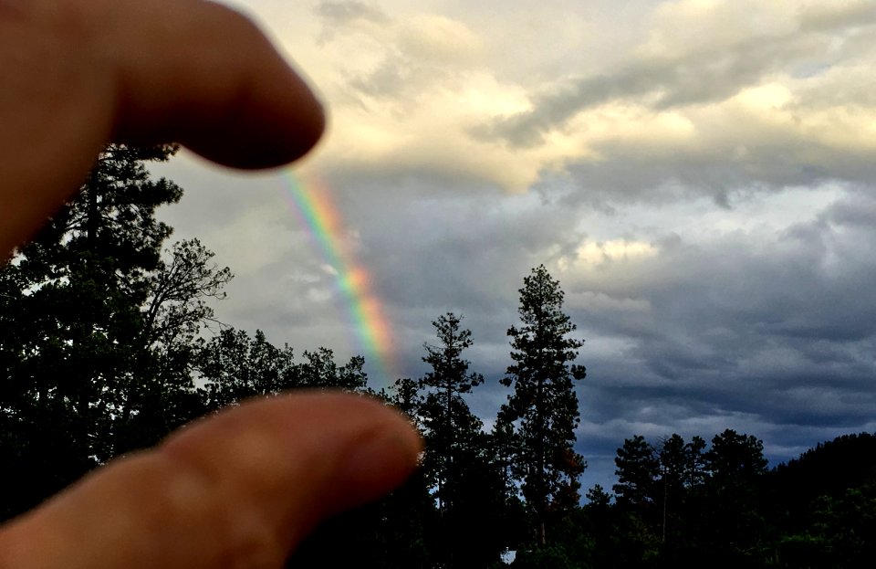 What a Cute Little Rainbow!