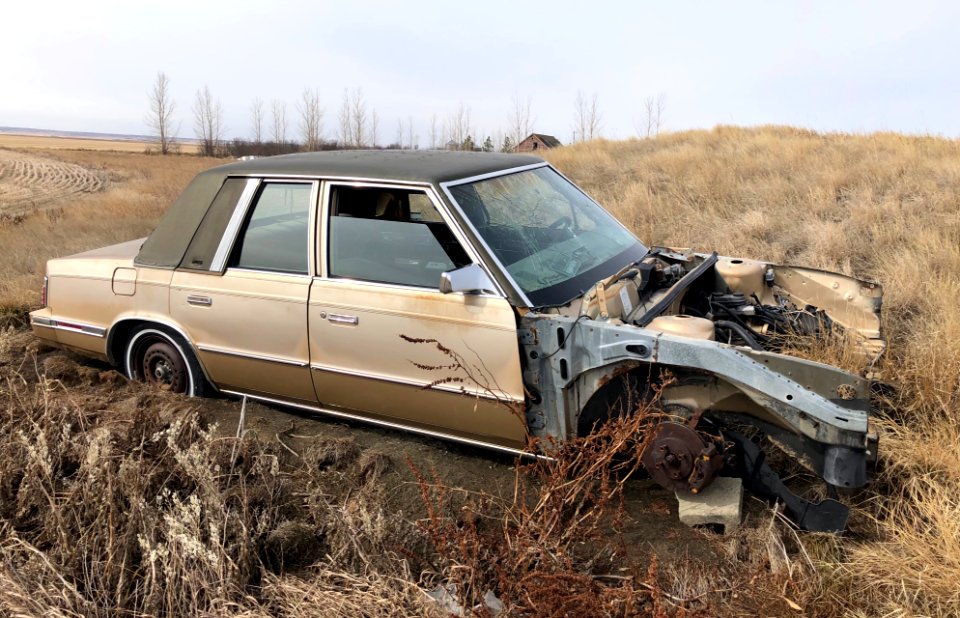 Low Mileage, Needs Body Work