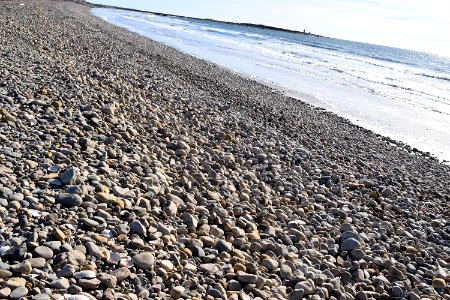 Shells and rocks photo