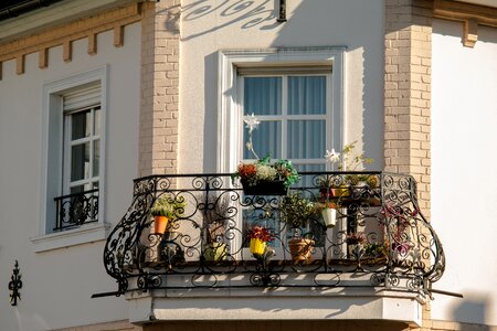 Blacksmithing flowers facade photo