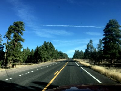 A Favorite Arizona Highway