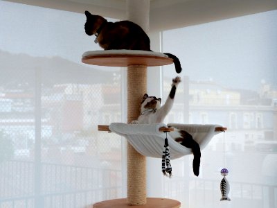 Nap time is over in 3...2...1...