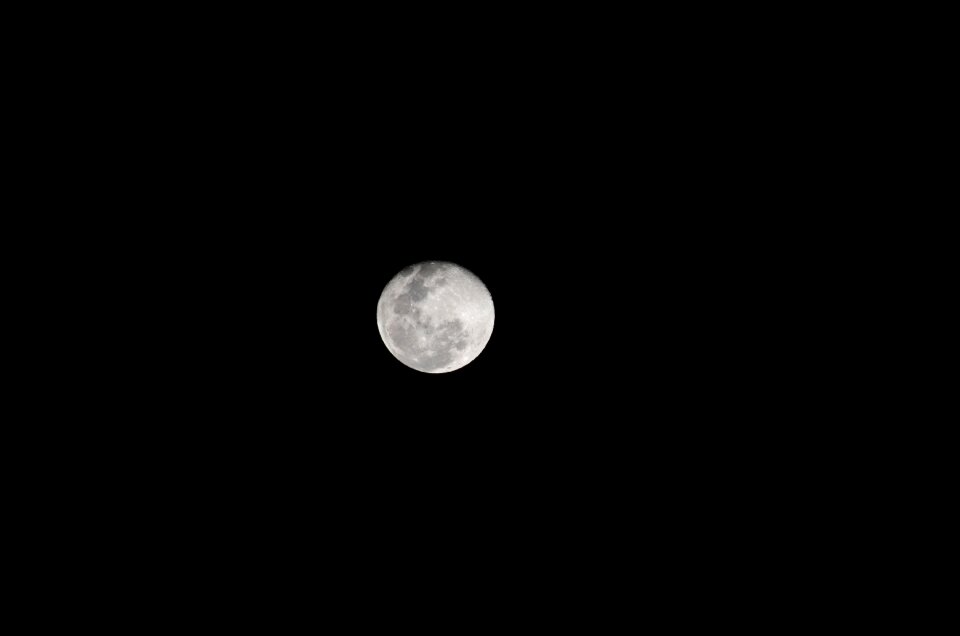Night full moon nocturne