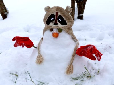 World's cutest snowman photo