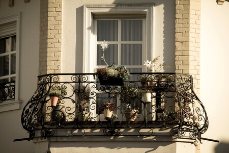 Blacksmithing flowers facade photo