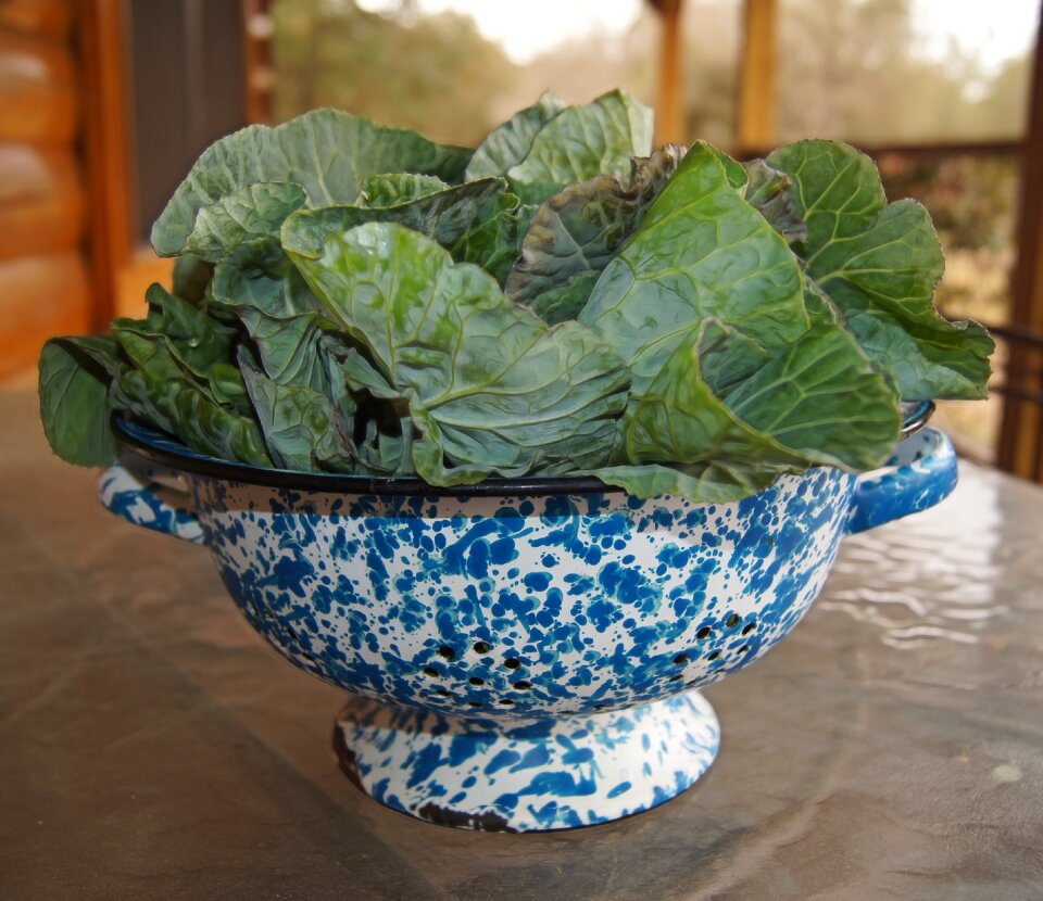 Vegetable farm fresh