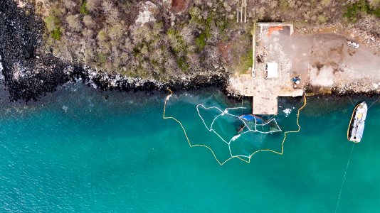 Capsized barge-San Cristobal-Galapagos-062 photo