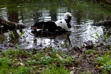 Colin Wants the Big Stick